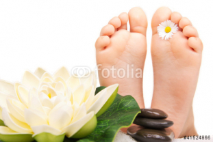 fotolia_41524866.jpg